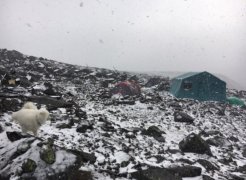 Зима пришла в Ловозерские тундры