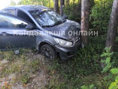 «Впечаталась» в сосну иномарка на трассе Кандалакша - Умба