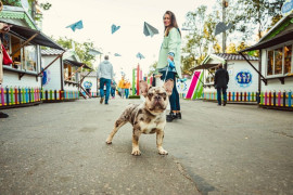 Школьная ярмарка открывается в центре Мурманска