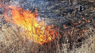 Пал травы начался в на юге Мурманской области