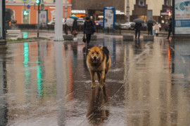 В Мурманск циклон с Исландии принесет длительное похолодание, сильный ветер и дожди