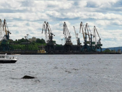 В Кандалакше закрыли порт Витино