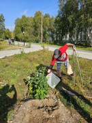 "Сад памяти" появился в Зверосовхозе