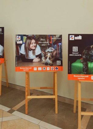 Выбрать питомца поможет выставка в Мурманске Выбрать питомца поможет выставка в Мурманске