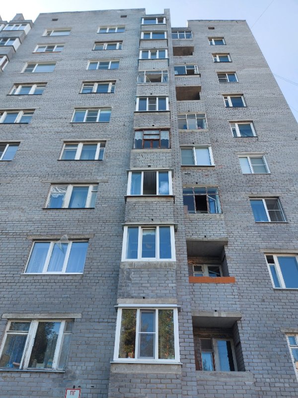 Полиция нашла живодера, скинувшего с 8 этажа щенка в Полярных Зорях Полиция нашла живодера, скинувшего с 8 этажа щенка в Полярных Зорях