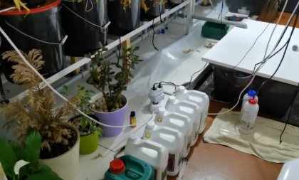 1,5 кг наркотиков нашли в квартире мурманчанина
