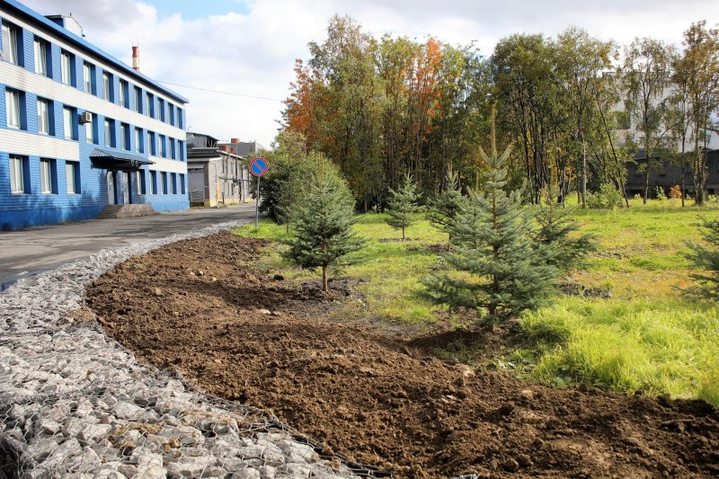 Зеленый сквер появился в Мурманском балкерном терминале Зеленый сквер появился в Мурманском балкерном терминале