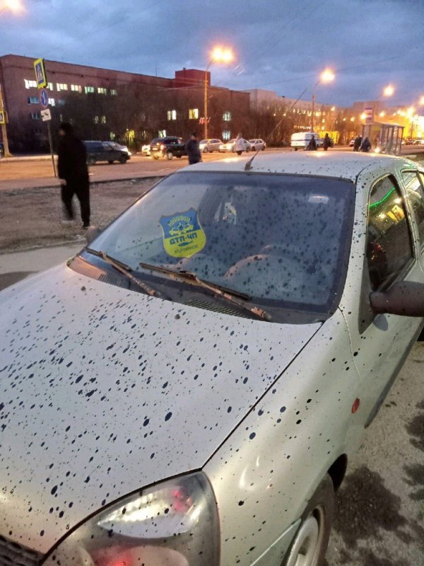 Автомобили забрызгали битумом рабочие в Мурманске Автомобили забрызгали битумом рабочие в Мурманске