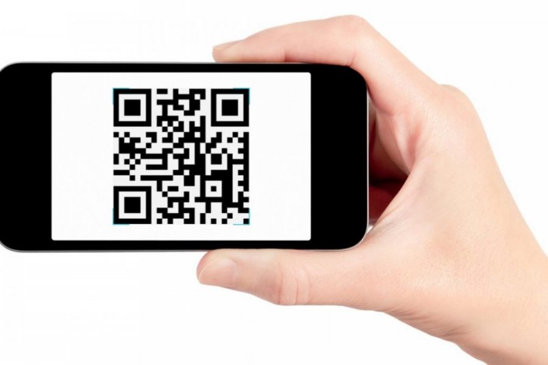 3000 QR-кодов уже проверили в Мурманской области 3000 QR-кодов уже проверили в Мурманской области