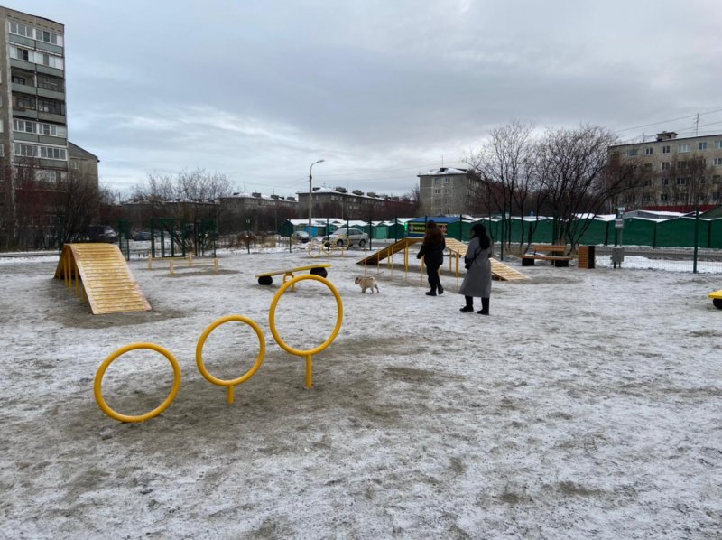 Киологическую площадку открыли в Мурманске