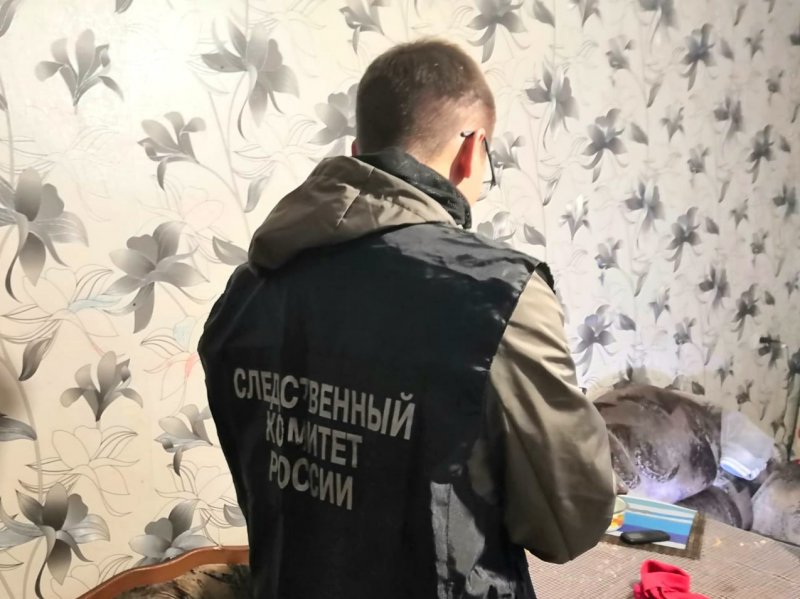 Проломил голову ребенку и отправится на 4 с половиной года в тюрьму житель Мурманска
