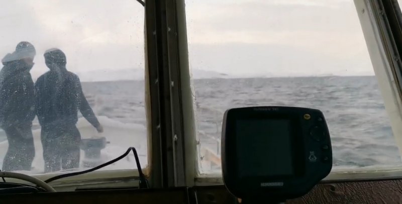 Четверо человек спасены: судно получило пробоину возле Дальних Зеленцов