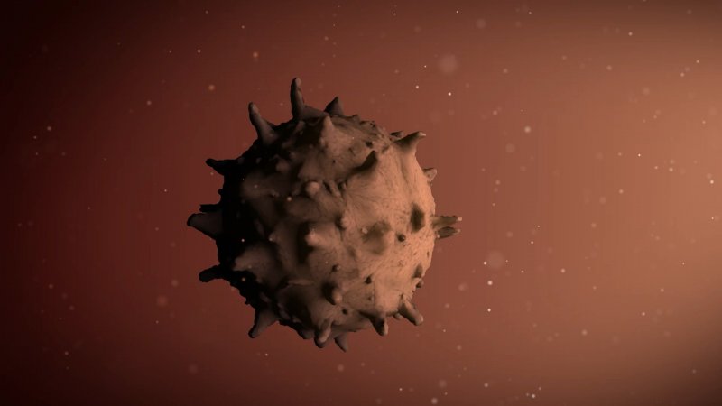 COVID-19 пошел на спад в Мурманской области COVID-19 пошел на спад в Мурманской области