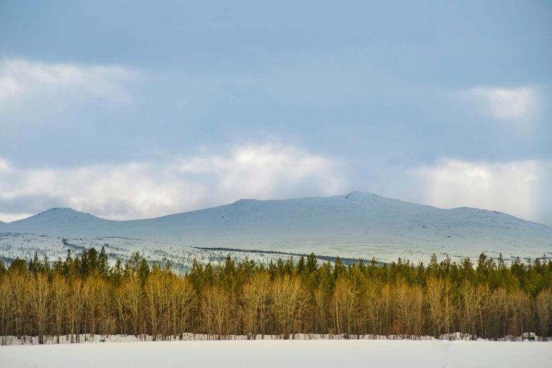 Морозы до -12° придут в Мурманск Морозы до -12° придут в Мурманск