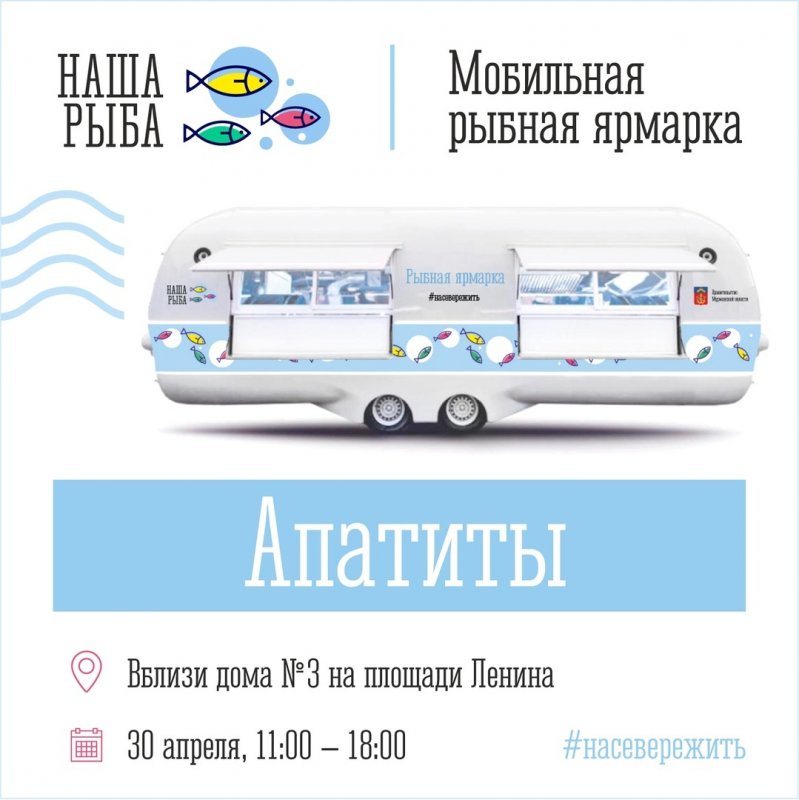 «Нашу рыбу» встретят апатитчане