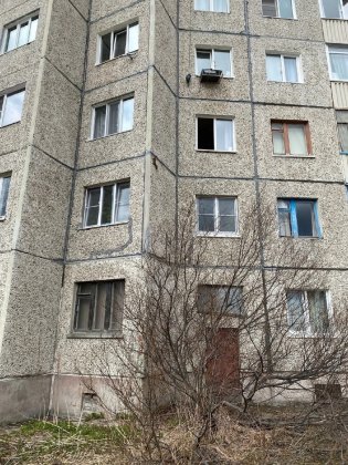 Белка забралась на третий этаж дома в Ковдоре