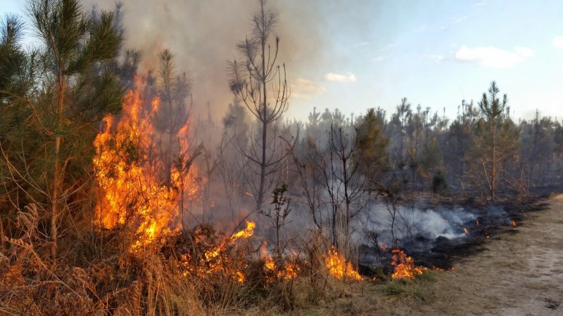 Пожароопасный сезон установлен в Мурманской области