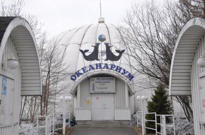 Прокуратура отправила в суд дело мурманского океанариума Прокуратура отправила в суд дело мурманского океанариума