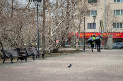 Устроиться на временные общественно-полезные работы можно до конца года в Заполярье