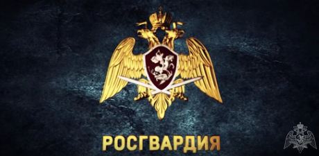 11 единиц оружия добровольно сдали северяне в Росгвардию 11 единиц оружия добровольно сдали северяне в Росгвардию