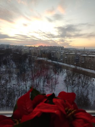 Солнце не показалось мурманчанам