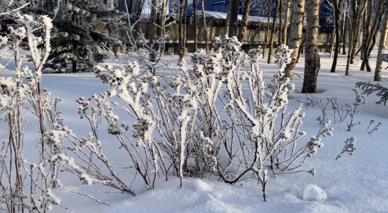 И снова до -18° похолодает в Мурманске И снова до -18° похолодает в Мурманске