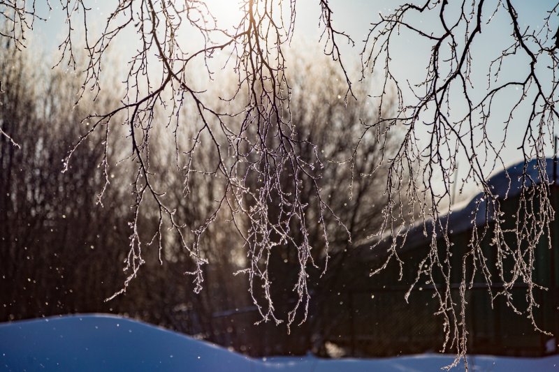 До +7° потеплеет в Мурманске До +7° потеплеет в Мурманске