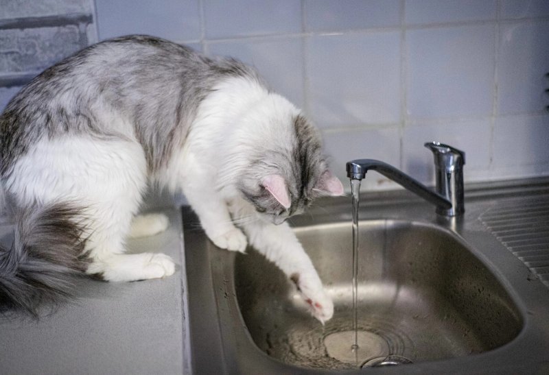 Известны даты отключения горячей воды летом в Мурманске