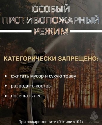 Особый противопожарный режим введен в Оленегорске