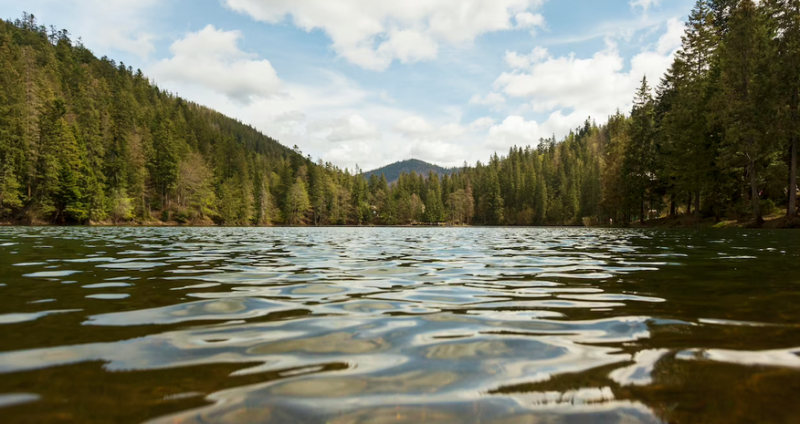 Подземные ключи не дают прогреться воде даже в стойкую жару в реках и озерах Заполярья