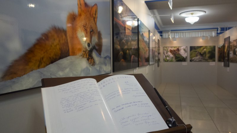 Северяне стали чаще ходить в музеи Мурманской области Северяне стали чаще ходить в музеи Мурманской области