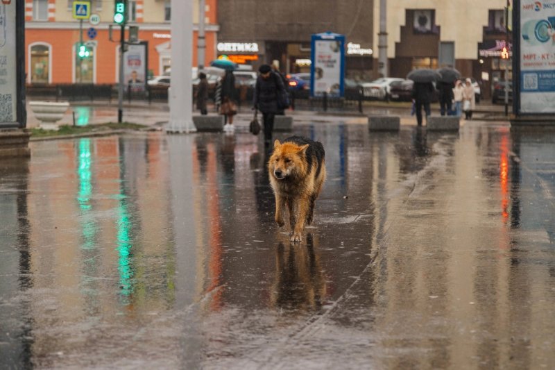 Снежная погода возьмет передышку в Мурманской области