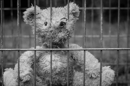 Конфисковали «Шкоду» у пьяной автоледи из Североморска Конфисковали «Шкоду» у пьяной автоледи из Североморска