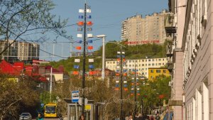 Куда прийти с проблемой: на этой неделе в Мурманске четыре депутата Горсовета примут жителей