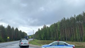 Мурманский водитель попался скрытому патрулю ГАИ за выезд на «встречку» в Карелии