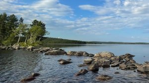 Лето в Мурманске берет реванш: в регион после холодов мчится жара до +25°
