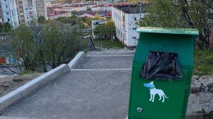 В Североморске волонтеры заполнили дог-боксы пакетами для уборки за собаками