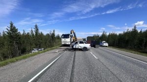 Лобовое ДТП под Кильдинстроем: один человек погиб, двое ранены