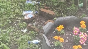 «Мешками собираем»: в Североморске ищут управу на нерадивых соседей, бросающих из окон бутылки