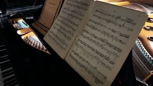 Царапины и трещины превратили в музыку: в ПАБСИ появилась звуковая инсталляция