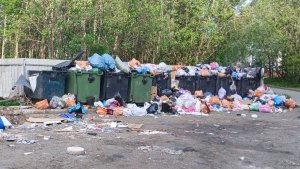 «Крысы скоро с нами здороваться будут»: в Апатитах баки во дворах утонули в горах хлама