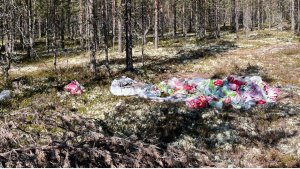 «Десять минут до контейнера»: в лесу под Умбой обнаружили очередную свалку