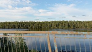 В Оленегорске рыбаков просят осмотреть берега Куреньги в надежде найти пропавшую пенсионерку