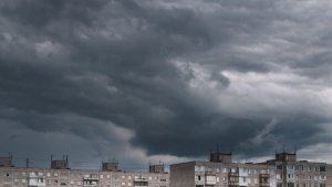 «Ветер стих, птицы замолчали»: в Мурманске синоптики объяснили природу затишья перед мощным ливнем