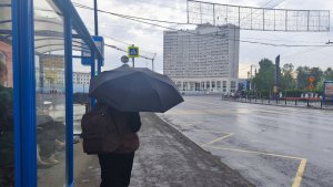 Дожди с грозами в День России: синоптики о погоде в Мурманске на длинные выходные