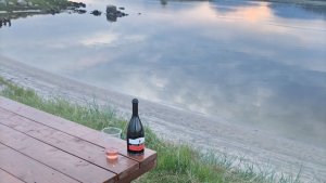 В Лувеньге побережье Белого моря туристы заваливают бутылками и пластиковой посудой