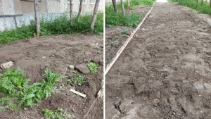 Был зеленый газон: на Гайдара в Апатитах палисадник завалили землей и камнями