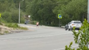 «Разделся и бегал по дороге»: в Заполярном полицейские и медики ловили неадекватного пешехода