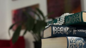 Все каникулы с книгой: в библиотеке Мурманска открыли сезон Летних чтений