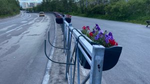 В Североморске неизвестные уничтожили новые баскетбольные сетки и украли клумбы с петуниями